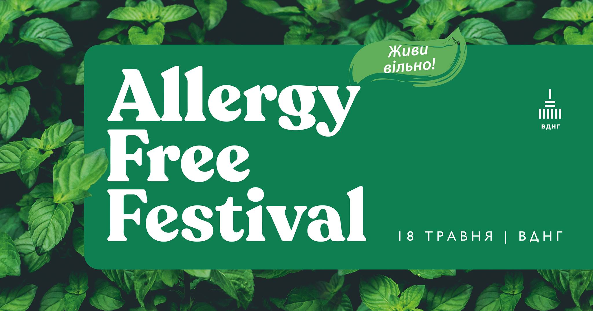 AllergyFreeFestival 1